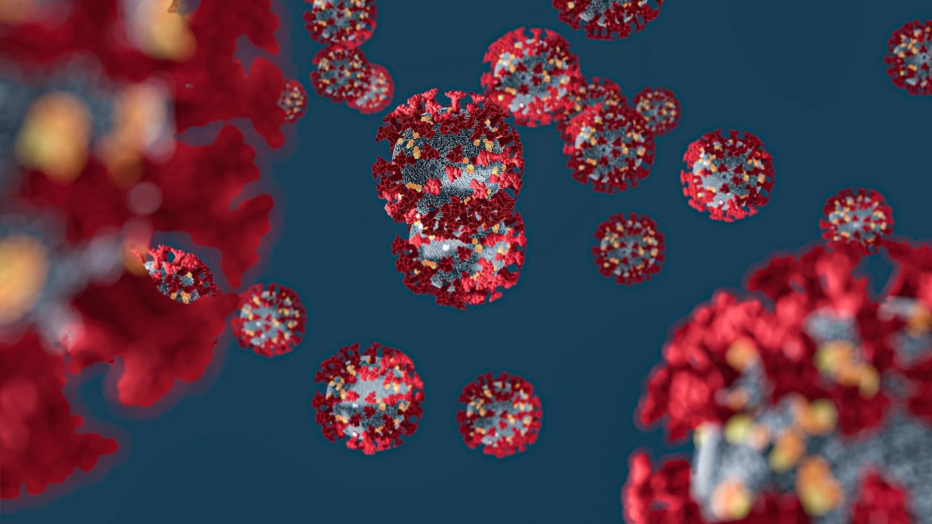 corona virus 4932576 1920