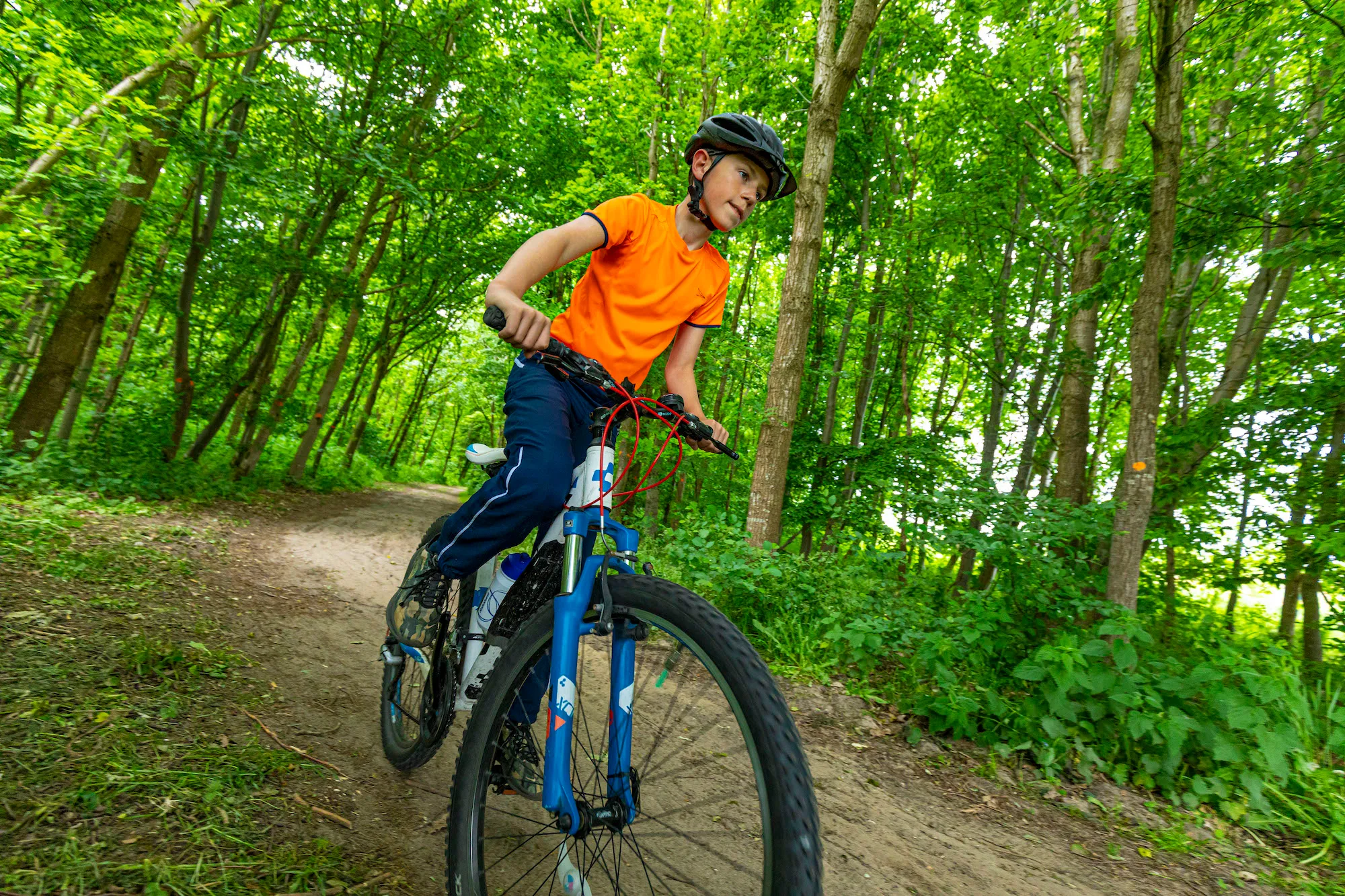 crossen door de bossen maarten feenstra
