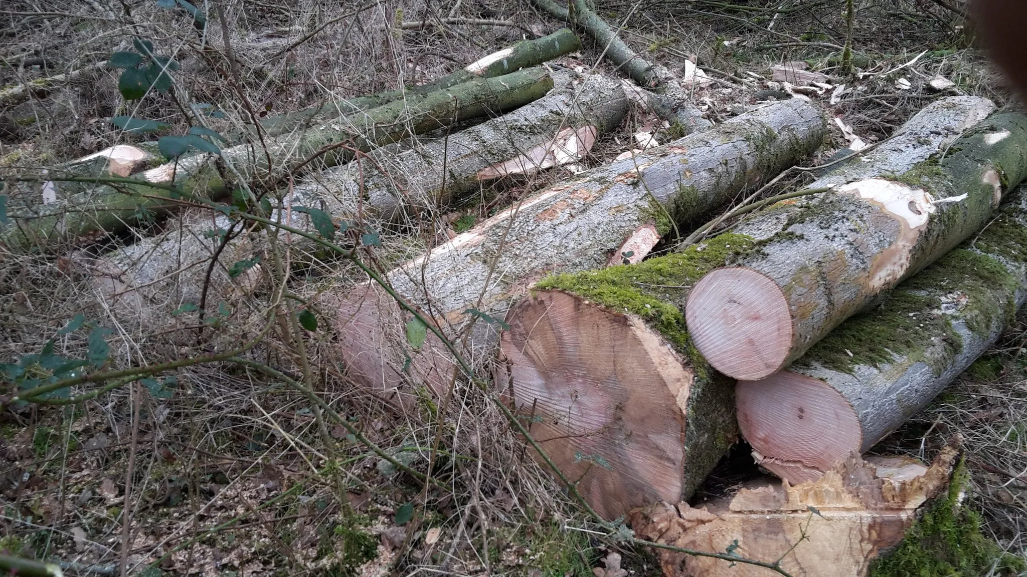 d1meckiwkaaisg7jpg large