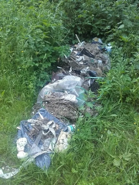 da29swzxuampnw jpg large