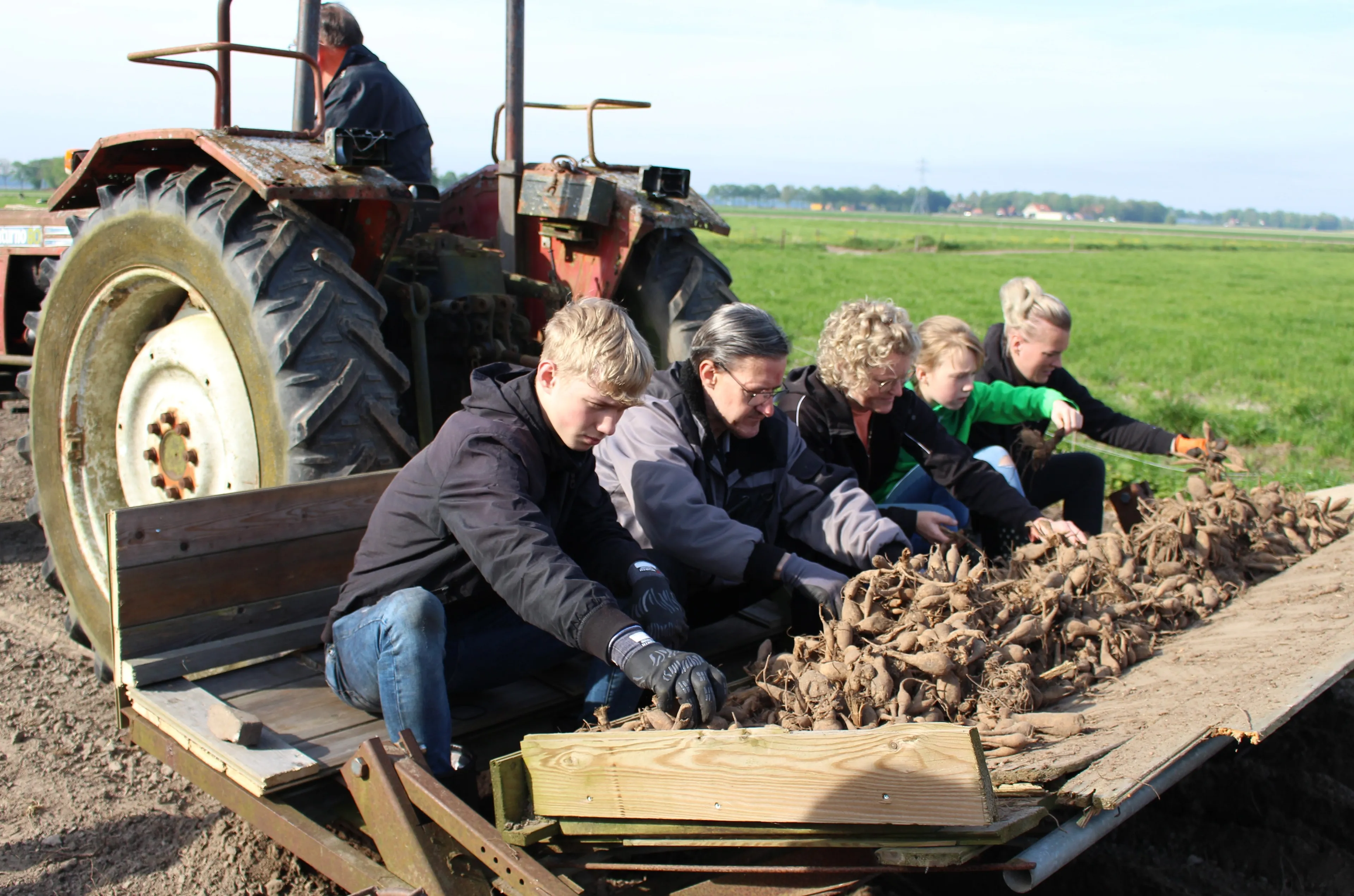dahliaknollen poten bij excellent 2 door janine renes