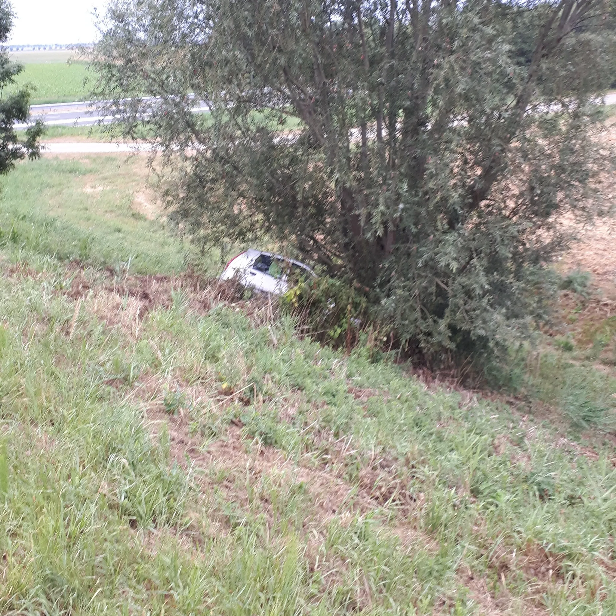 dkd 6cgxsaasyrcjpg large