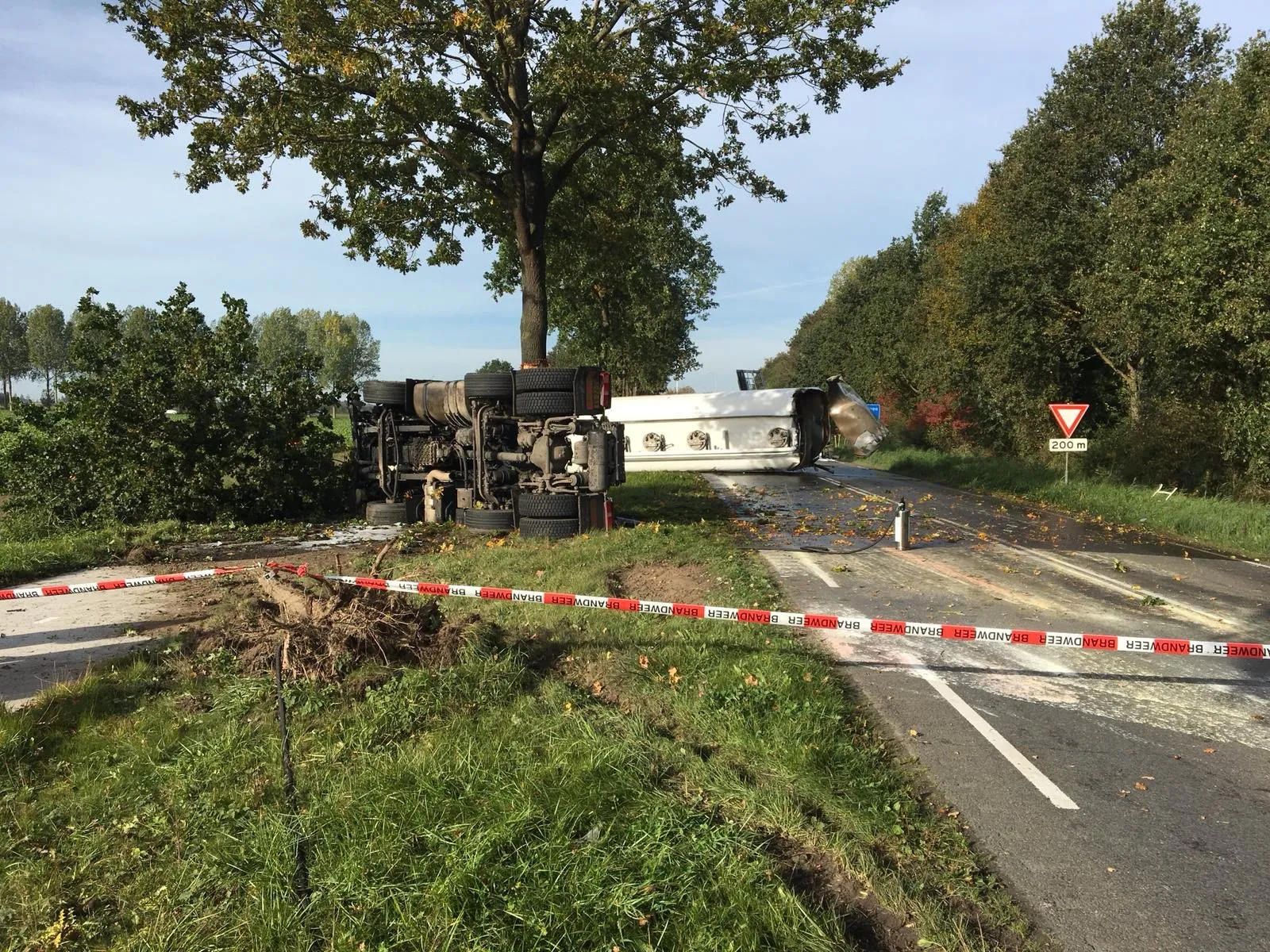 do mn49wwaezp5sjpg large