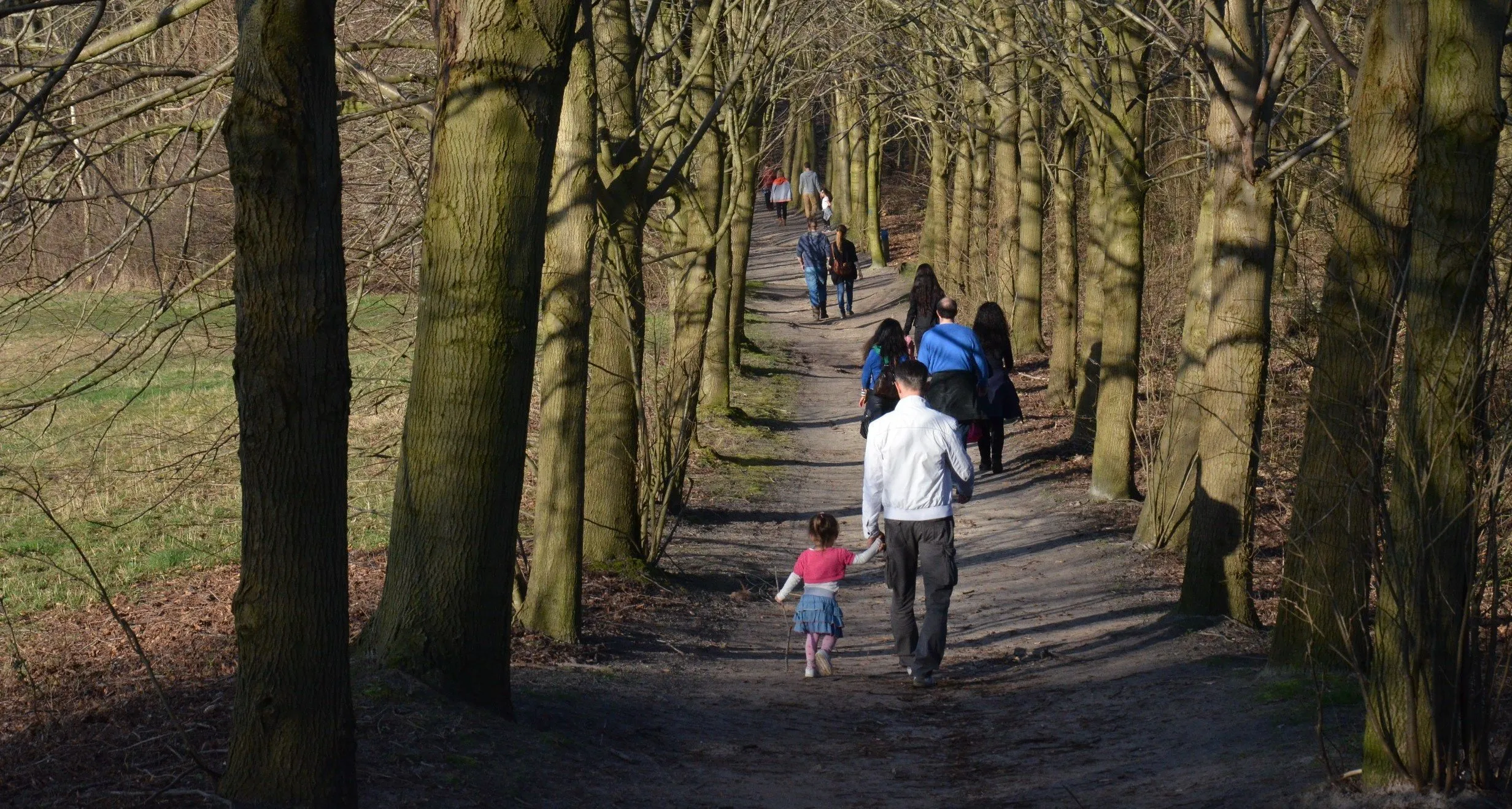 dsc 0692 e1457979610649