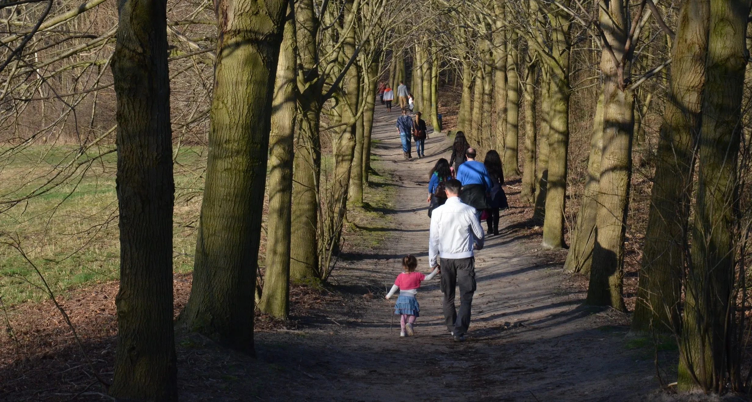 dsc 0692 e1457979610649