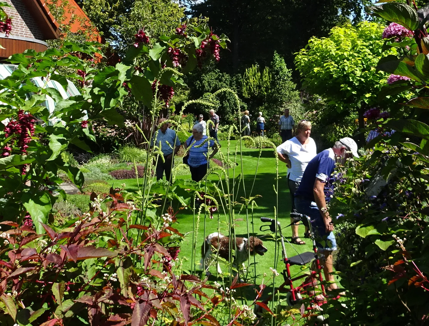 dsc04682 bezoekers 2