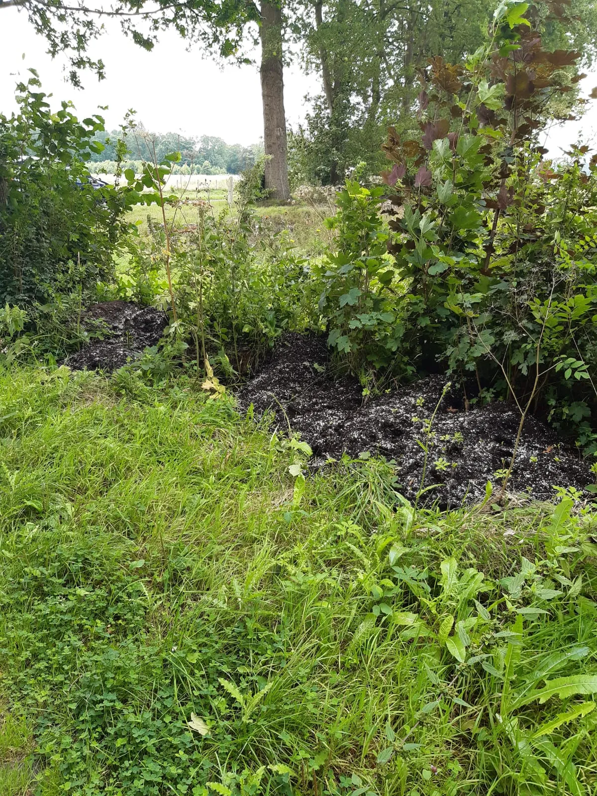 dumping wiet potgrond egriwv5xsau unl