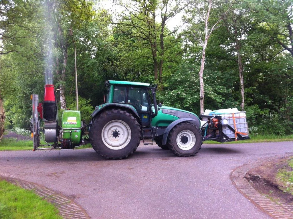 eikenprocessierups bestrijding