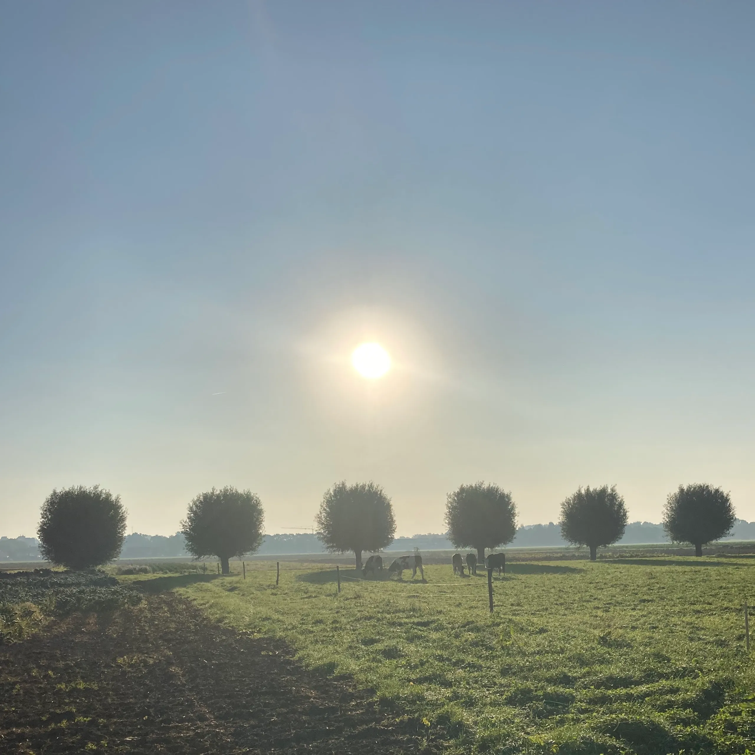 emmeloord 2020 img 2827