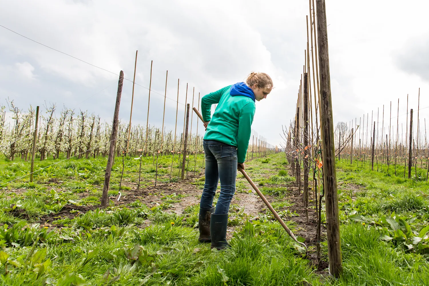 emmeloord mbo 04 2016 5501