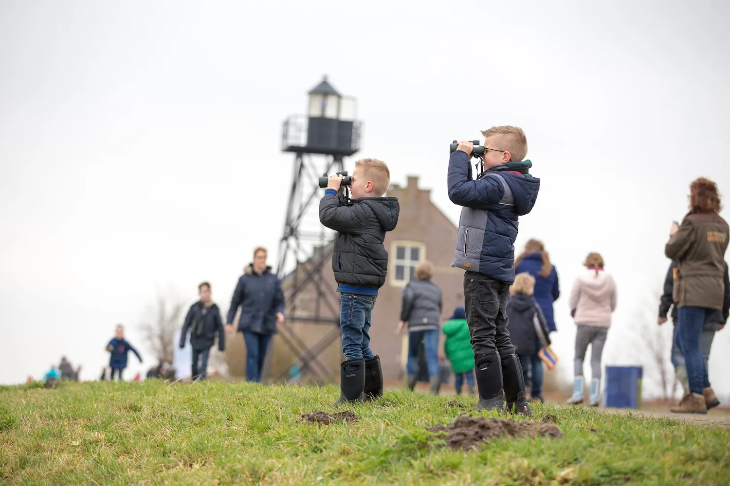 flevolandschap schokland jpluim 1