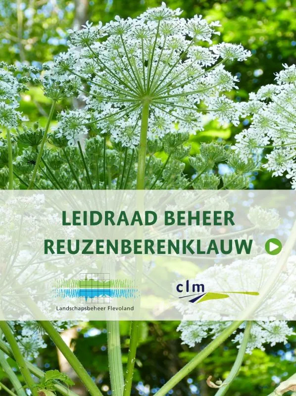 foto leidraad