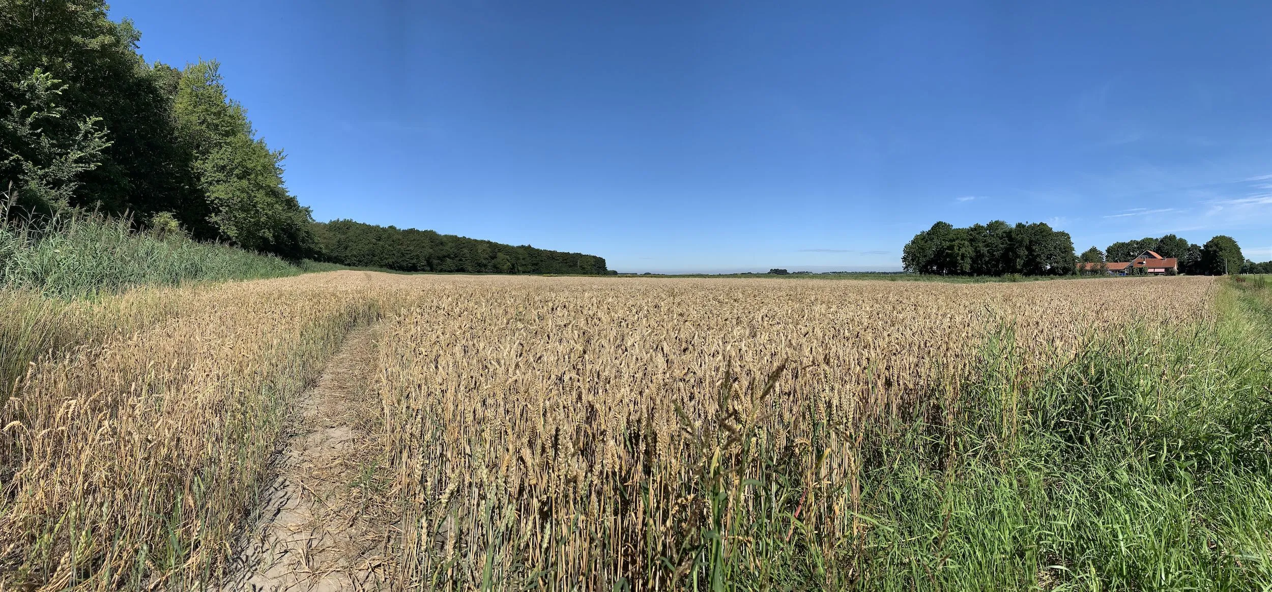 foto oostkant dronten