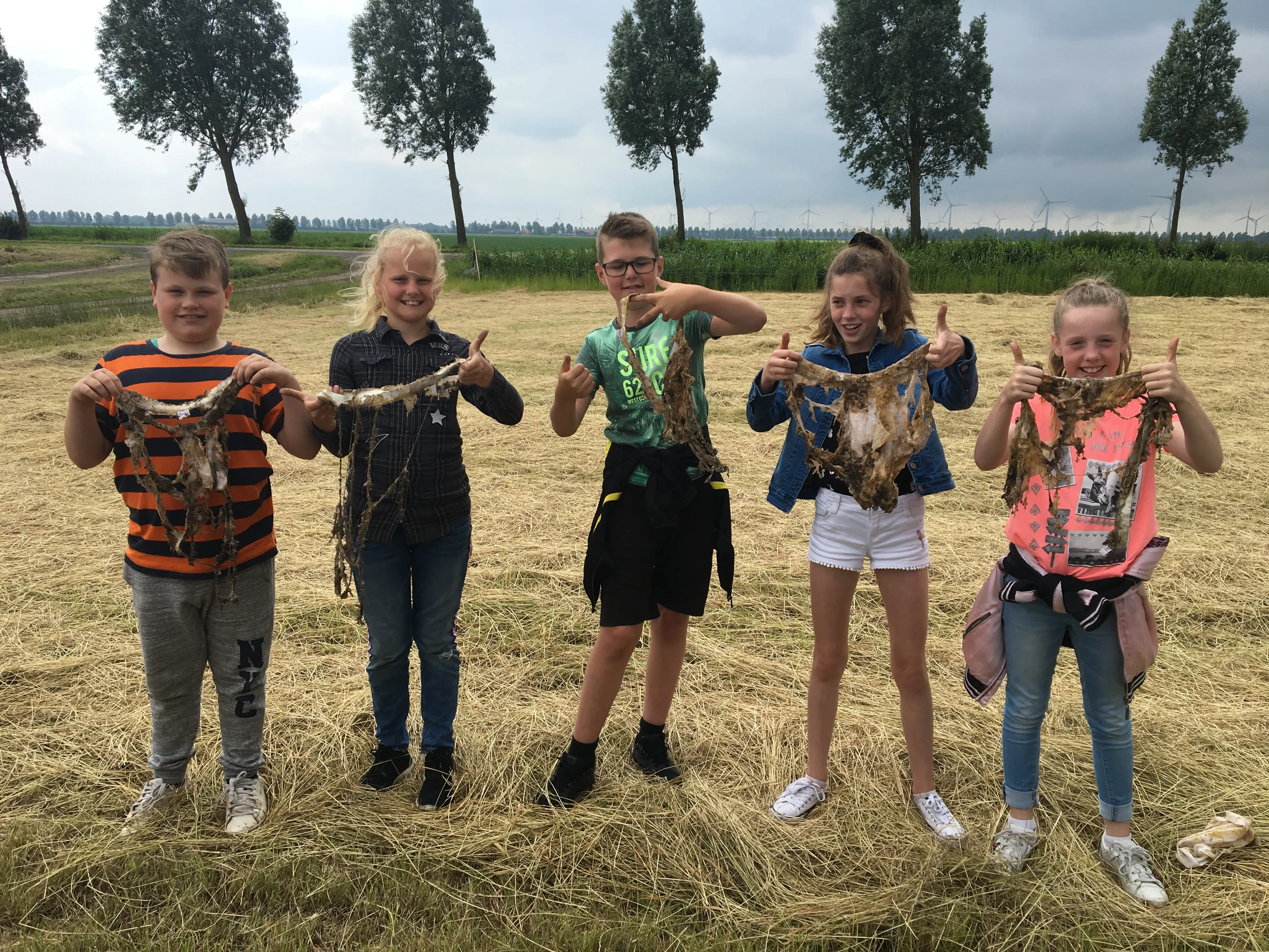 grondgezond 2019 img 4758