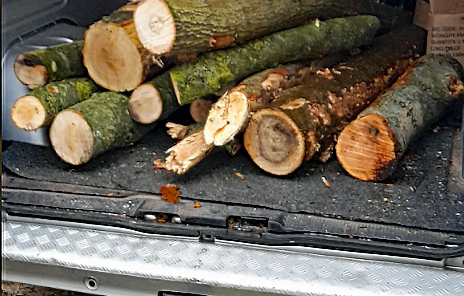 hout diefstal at sbb