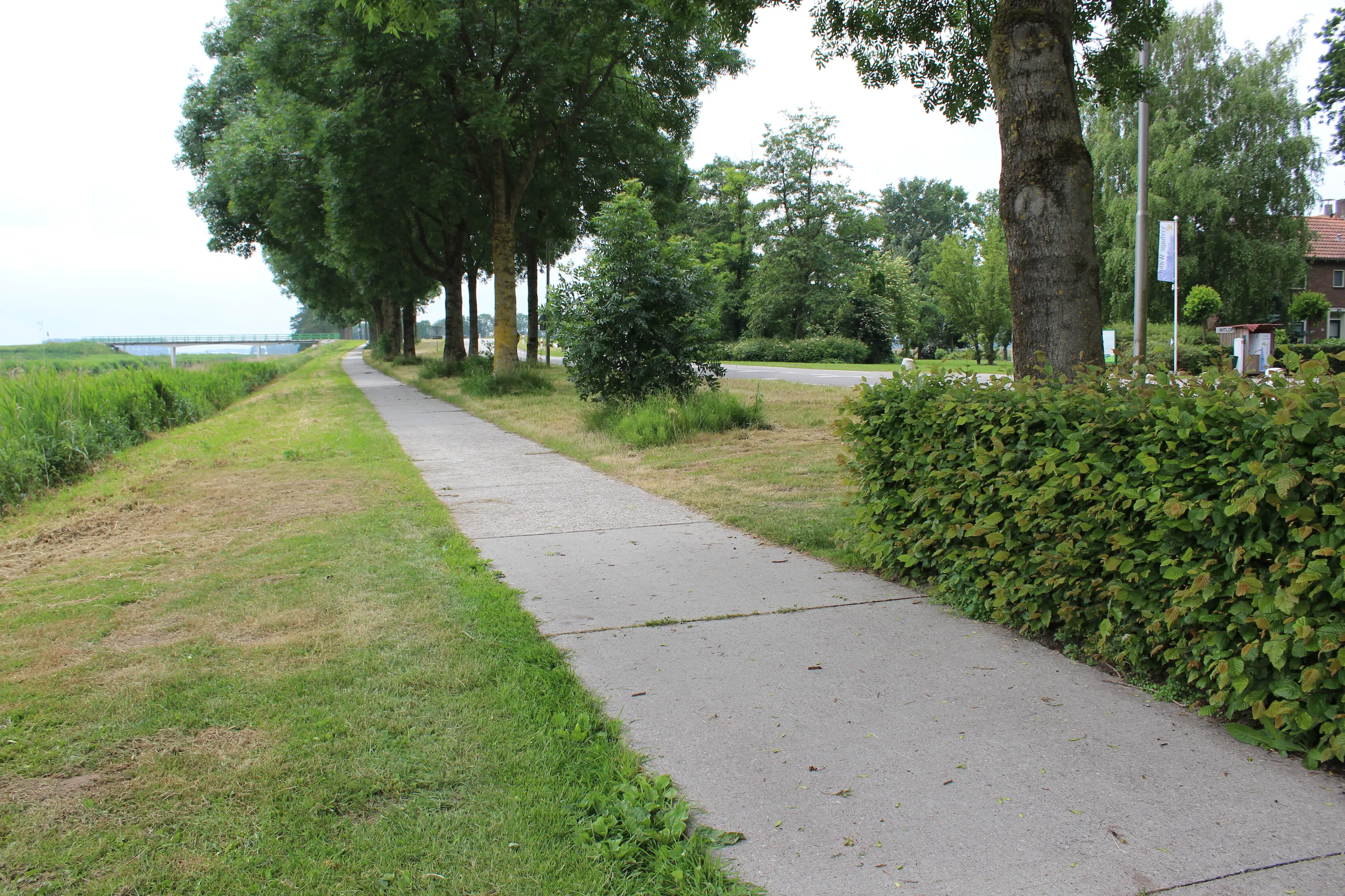 img 0805
