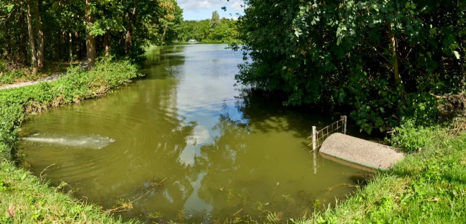 img 4458 e1598624790403