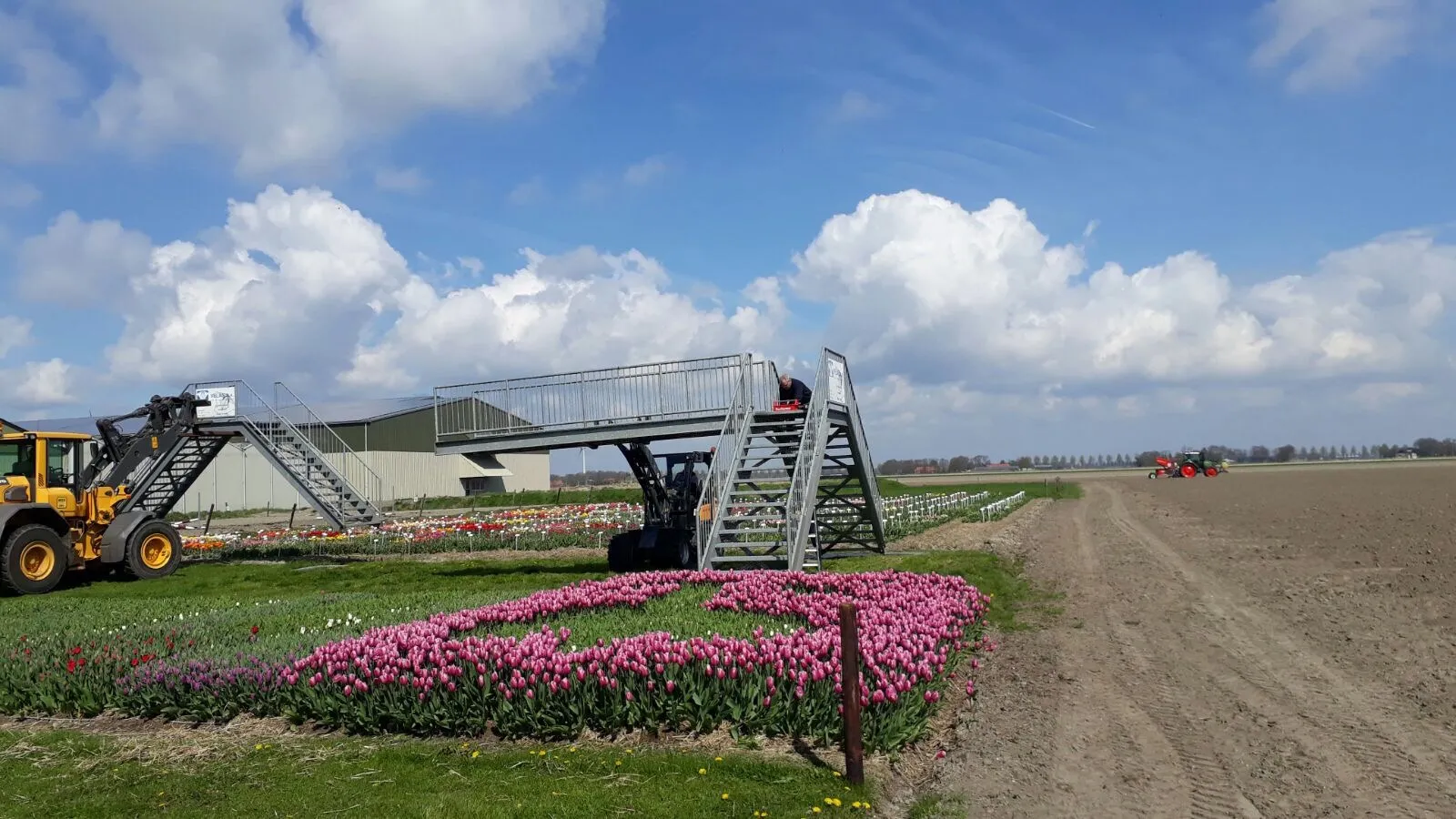 inrichting tulpenbelevingsveld 2017 img 2282