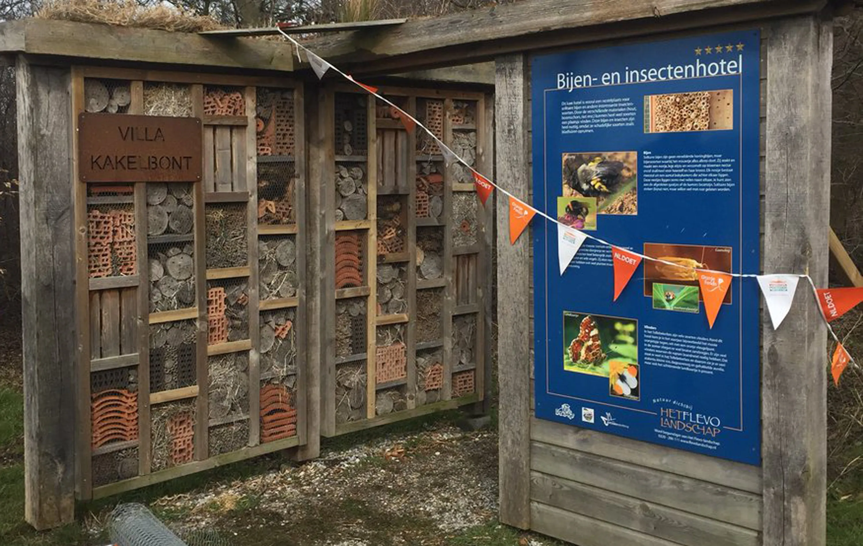 insectenhotel tollebeek