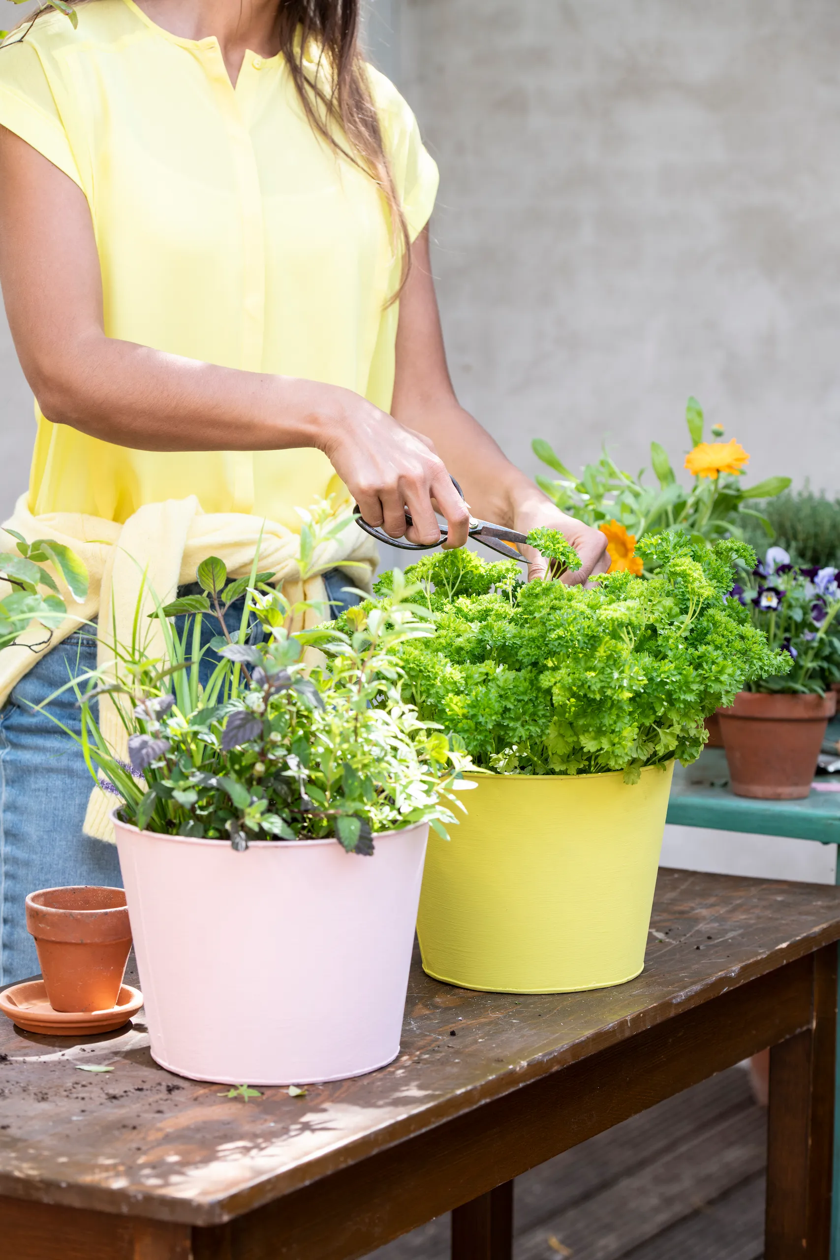 intratuin zomerbl deel 1 dag 2 85806 hr