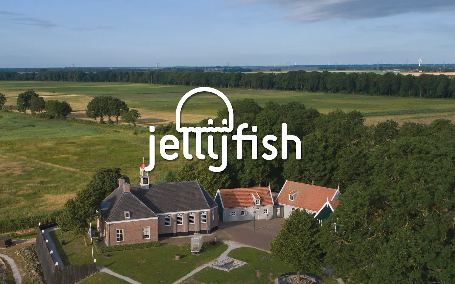 jellyfish promo