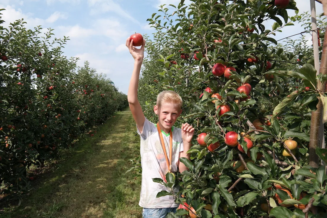 jens van leeuwen opent pluktuin vink fruitboerderij wwwparelprojectennl