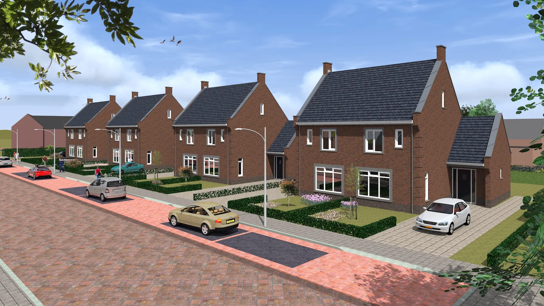 juliana emmeloord accamera 8a