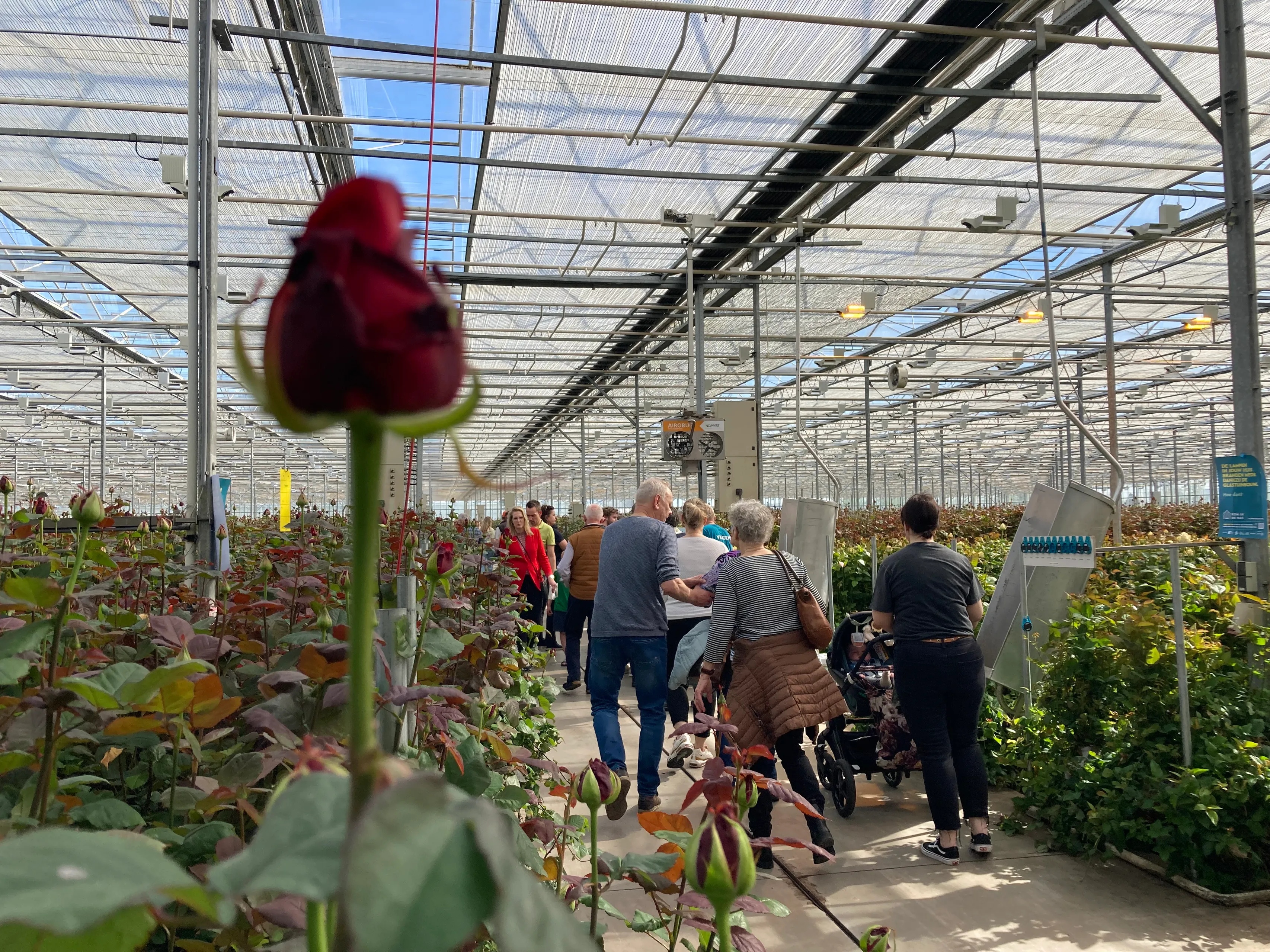 kik brockhoff img 7368