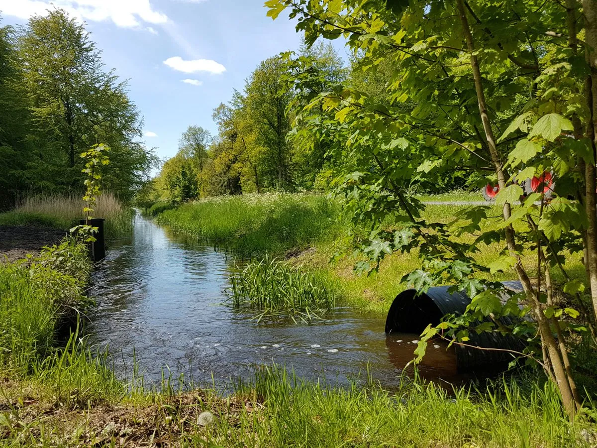 kuinderbos d6lulecwaaak4nf