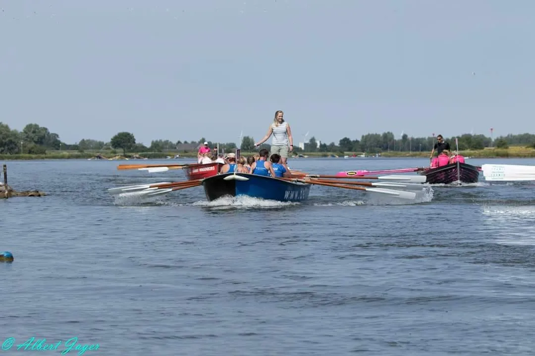 mare australis en zusje bij respec op de lek foto gemaakt door albert jager