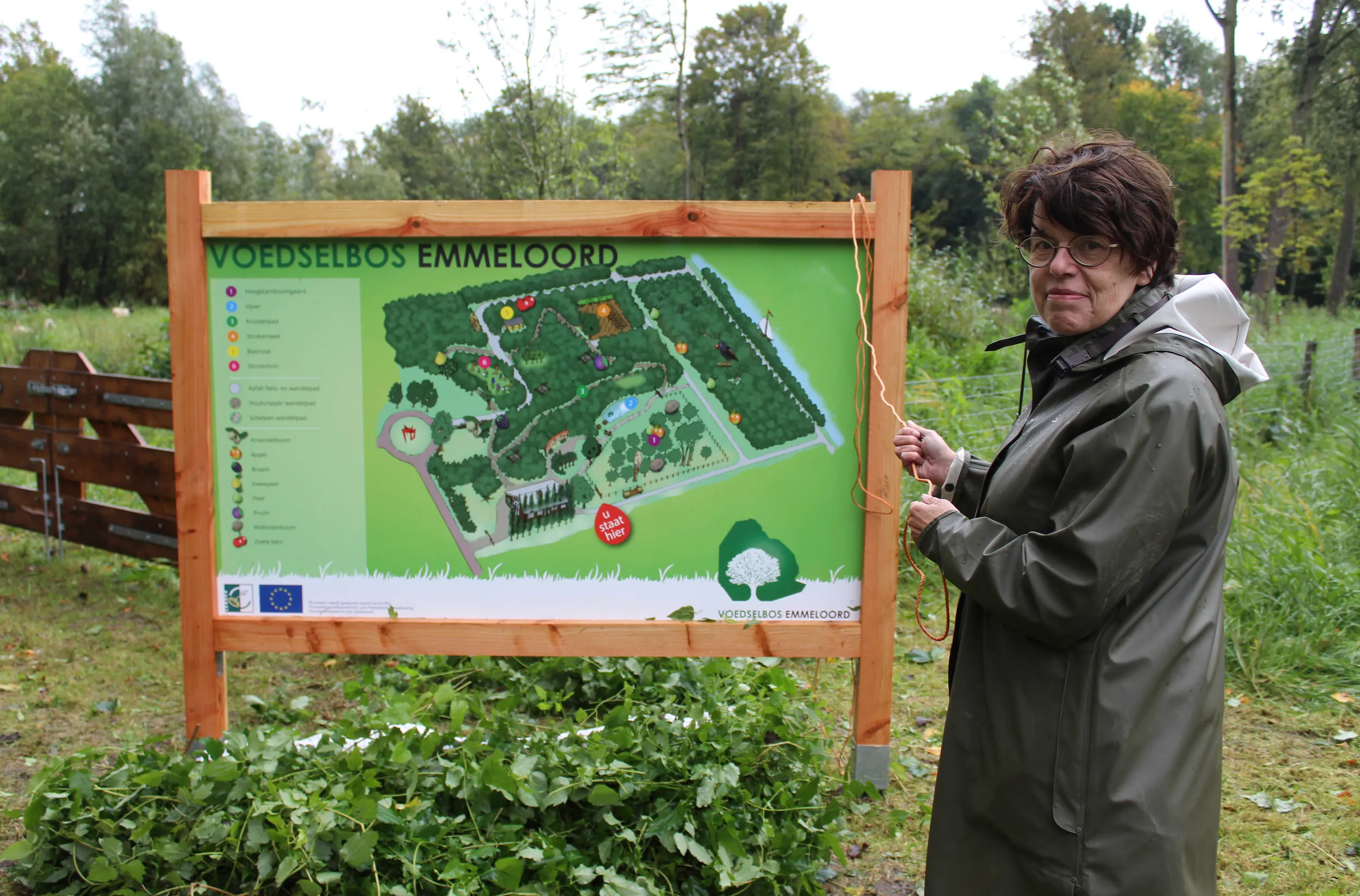 marian uitdewilligen