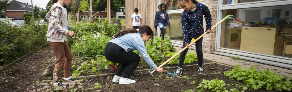 moestuinieren horizontaal headerformaat