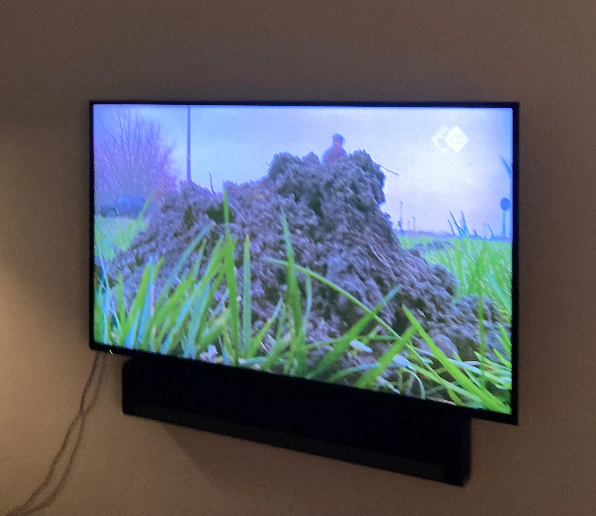 molshoop emmeloord img 8226