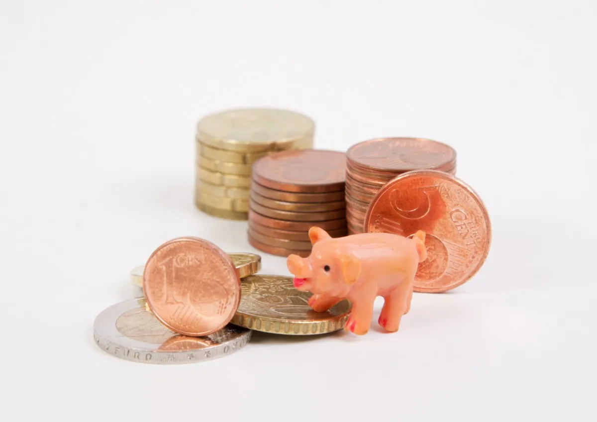 money piggy bank coins save pig ceramic economical save money 1209052jpgd