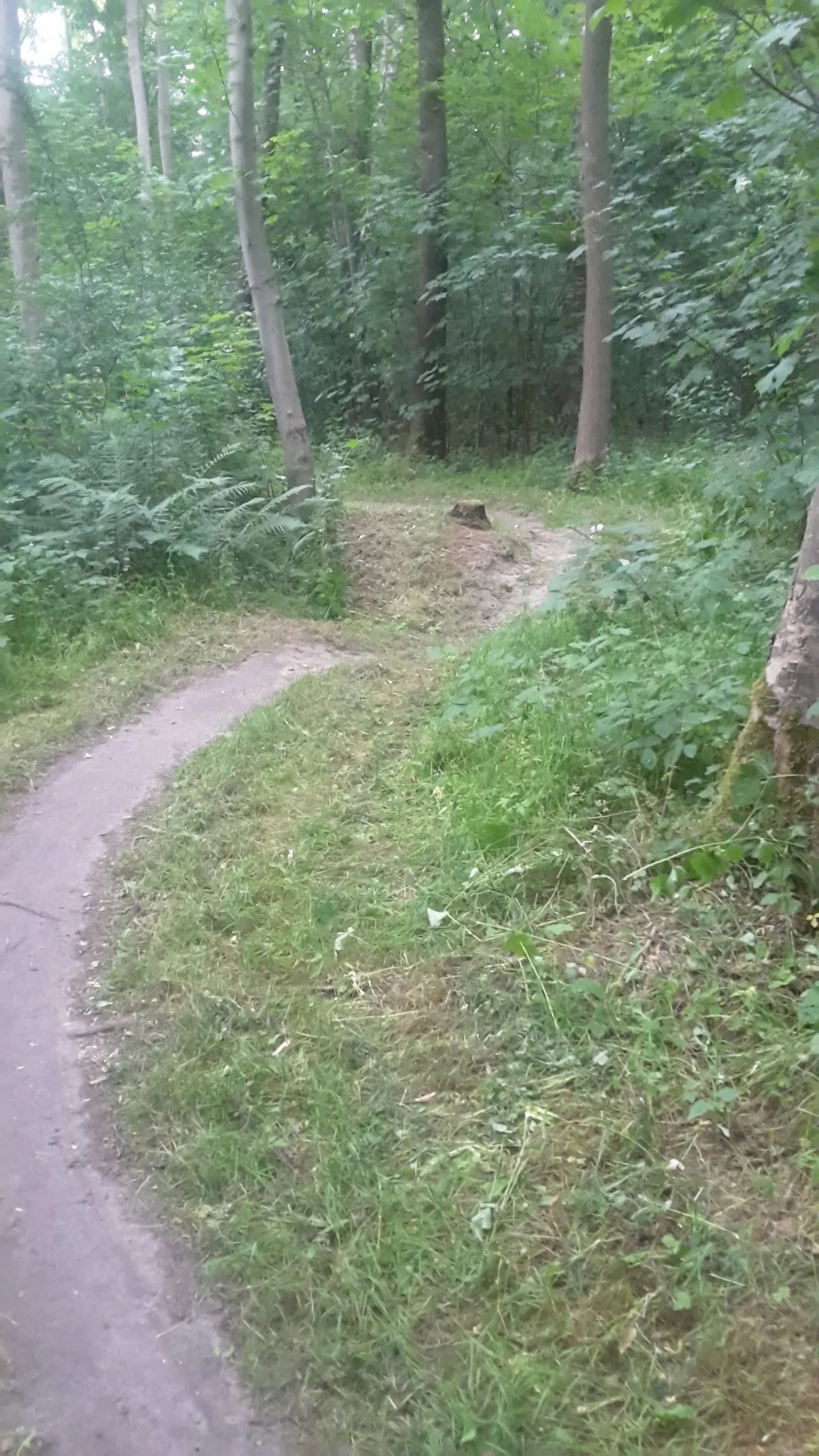 mtb kuinderbos 29062020 image 1