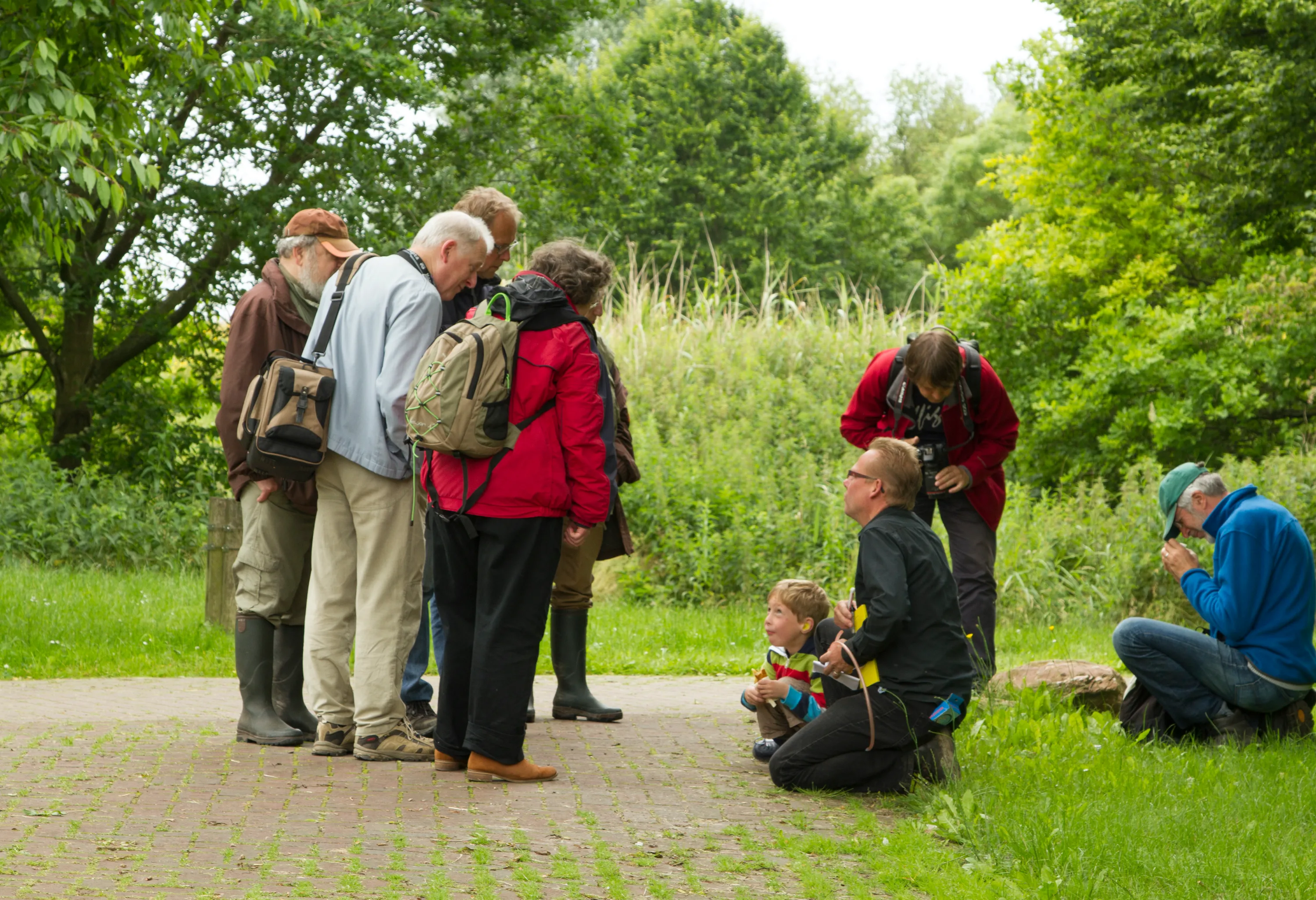 op zoek naar bodembeestjes
