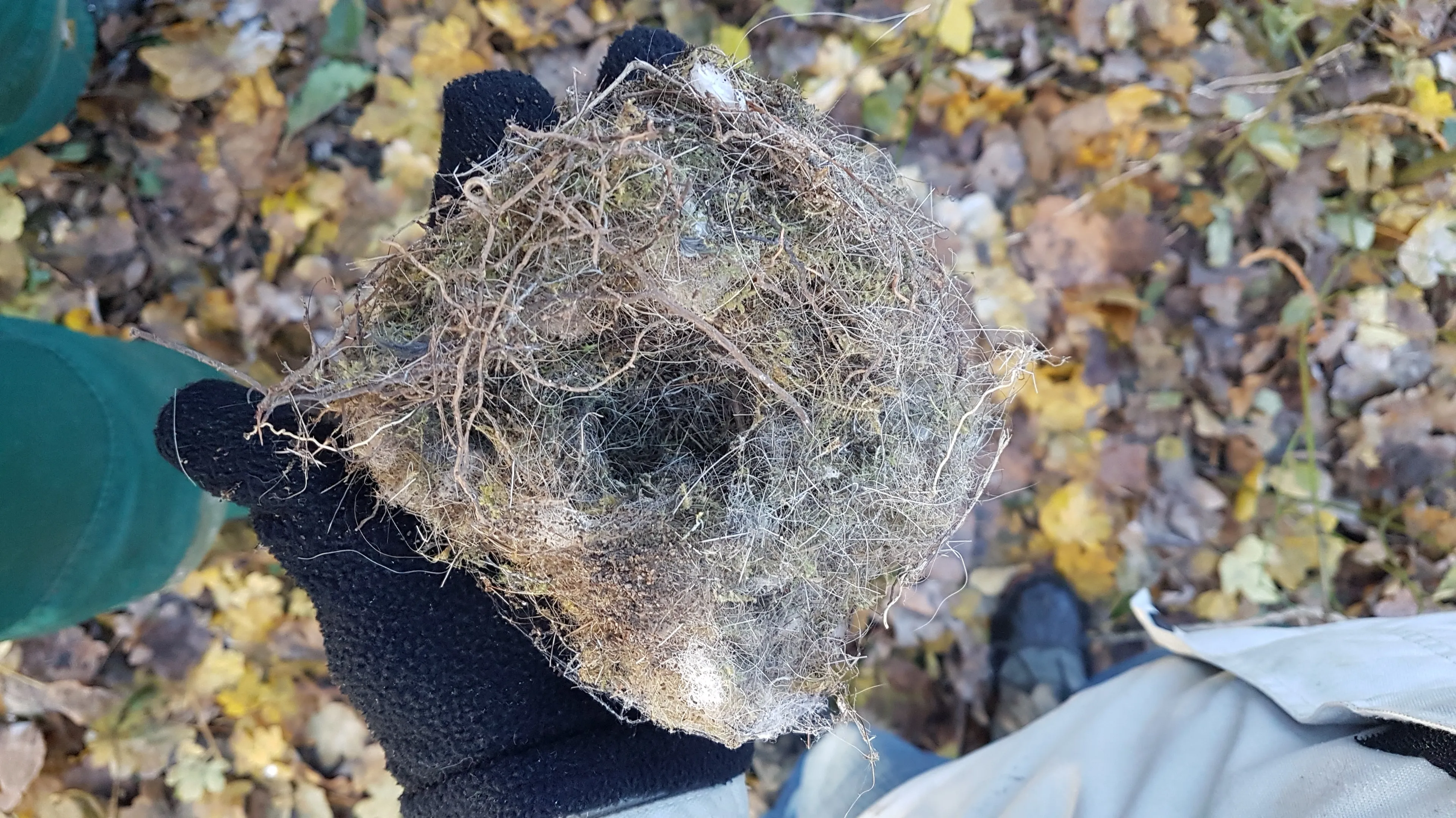 pb24 15001 nest winsterkoning