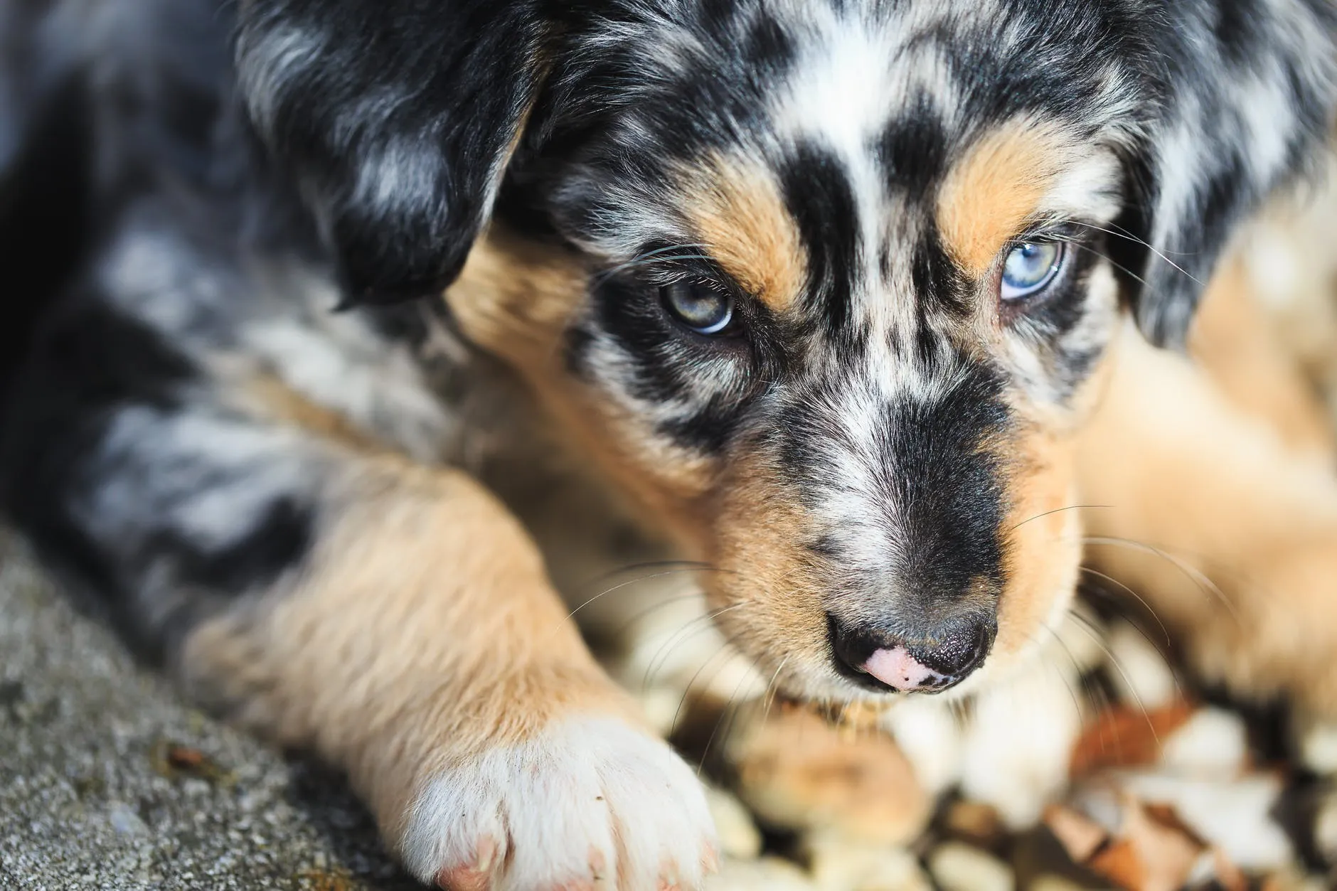 pexels photo 1770976