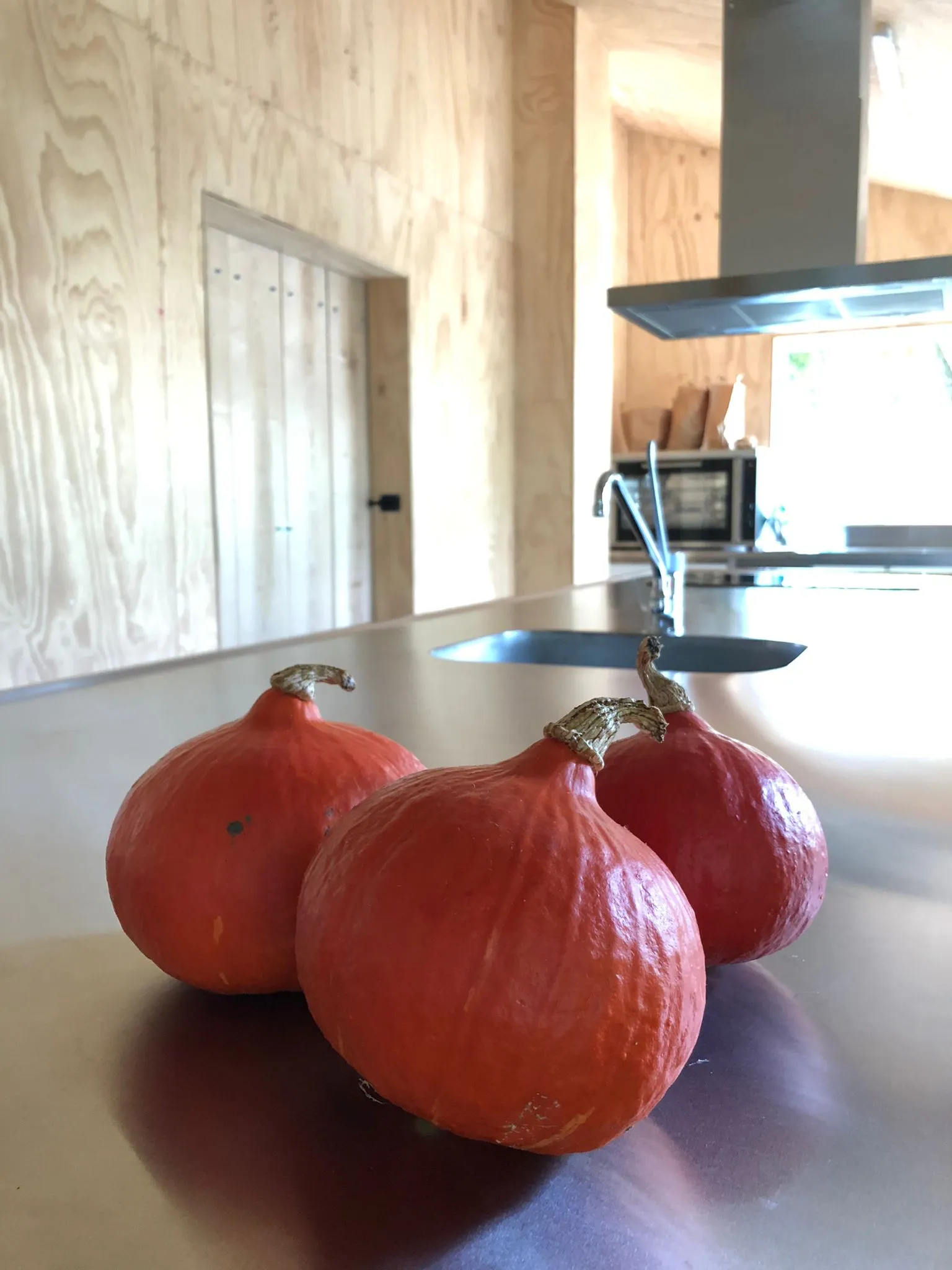 photo 2022 09 21 08 09 50 1