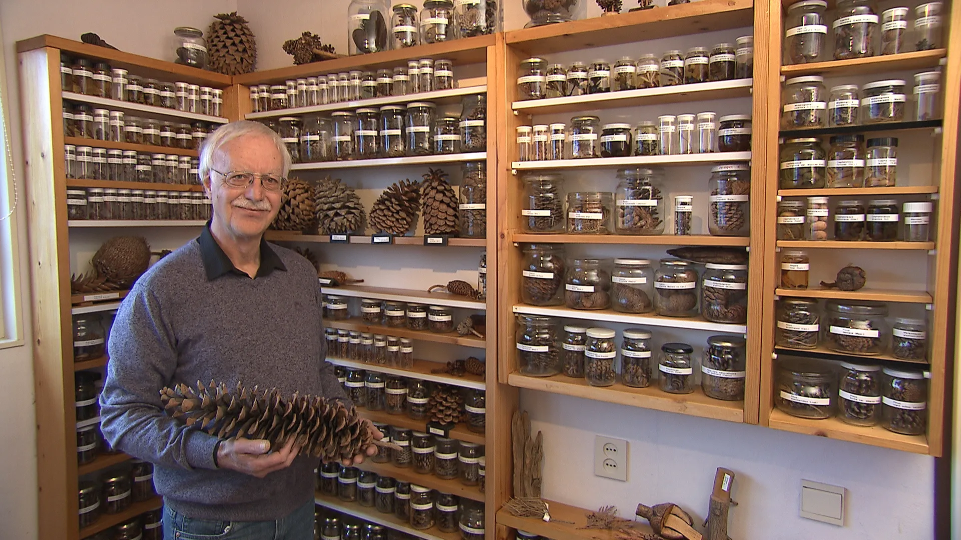 piet uit emmeloord met zijn verzameling dennenappels