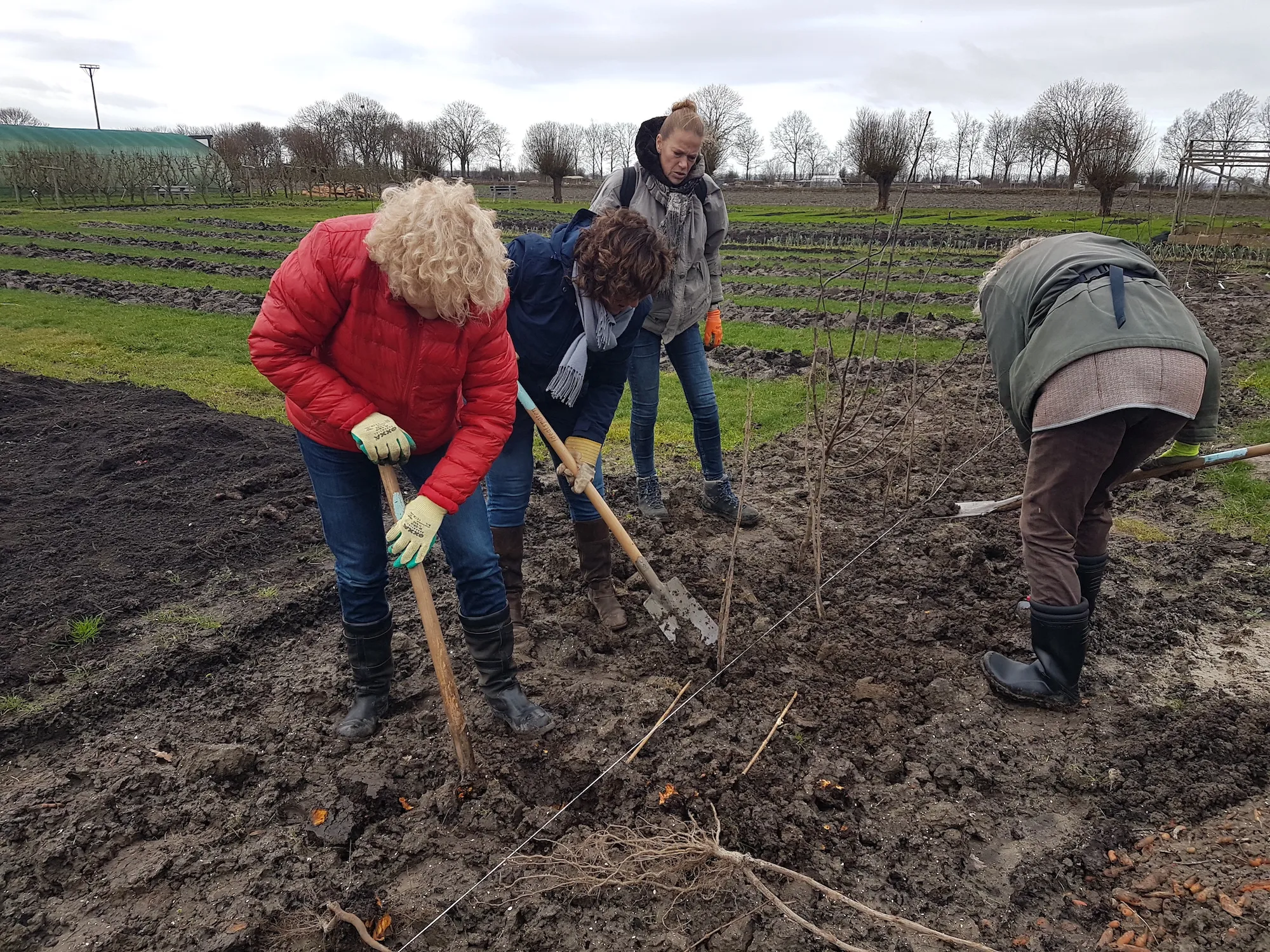 plantactie soroptimistclub