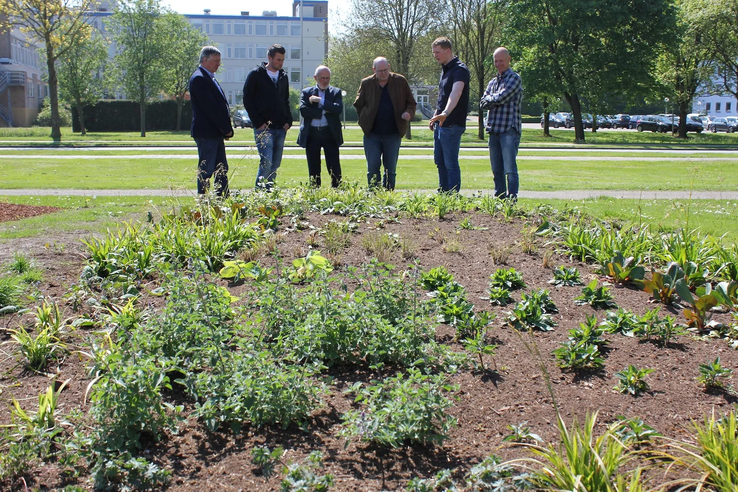 plantvakken2