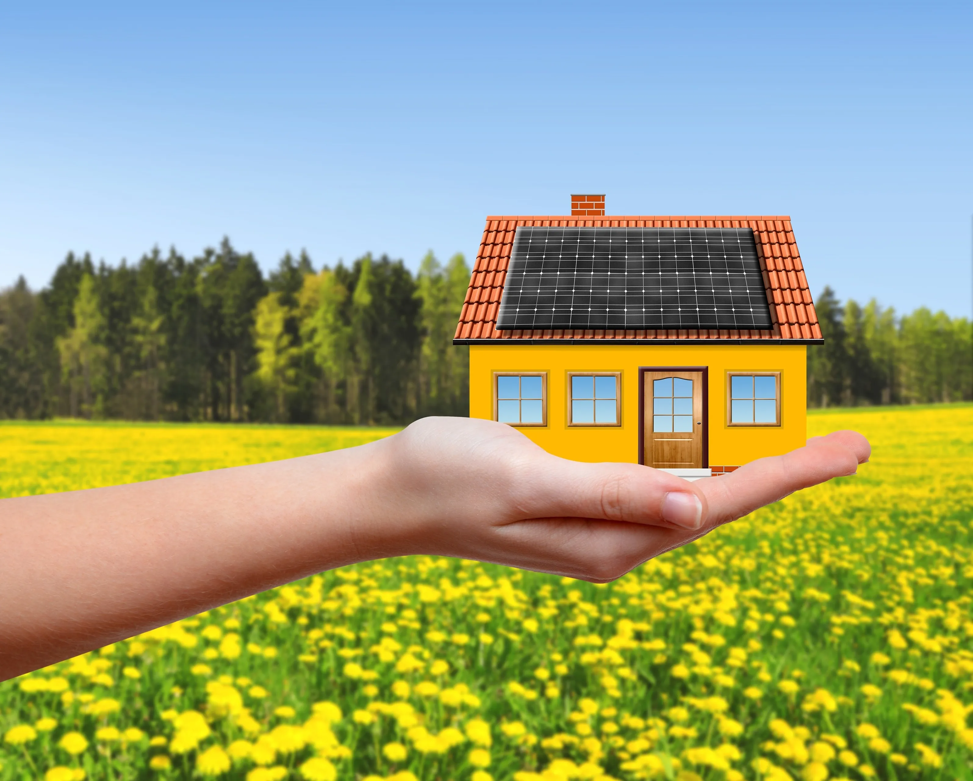 raab krcher 19789085 xxl