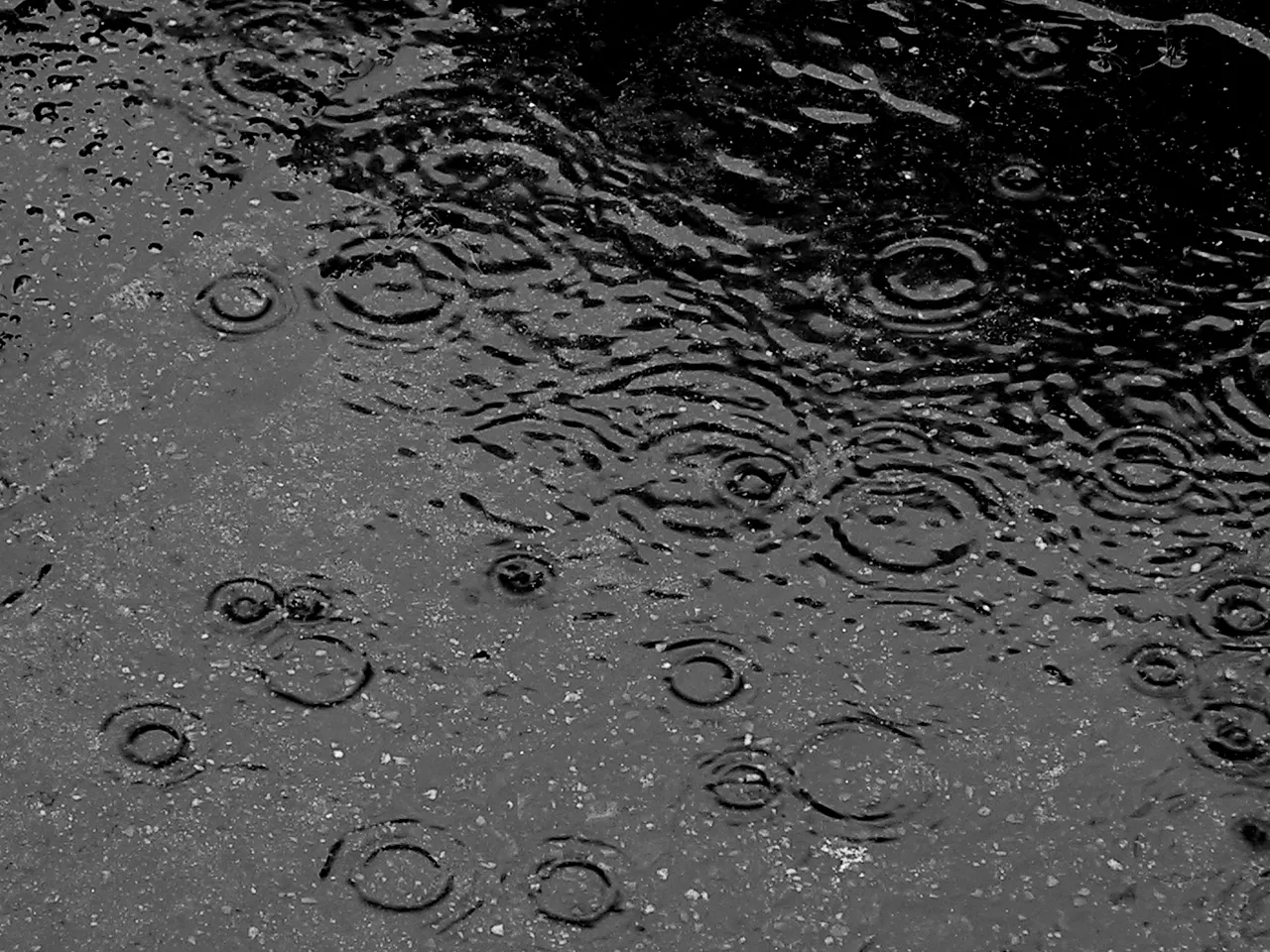 rain cc by commonswikimediaorgjpg