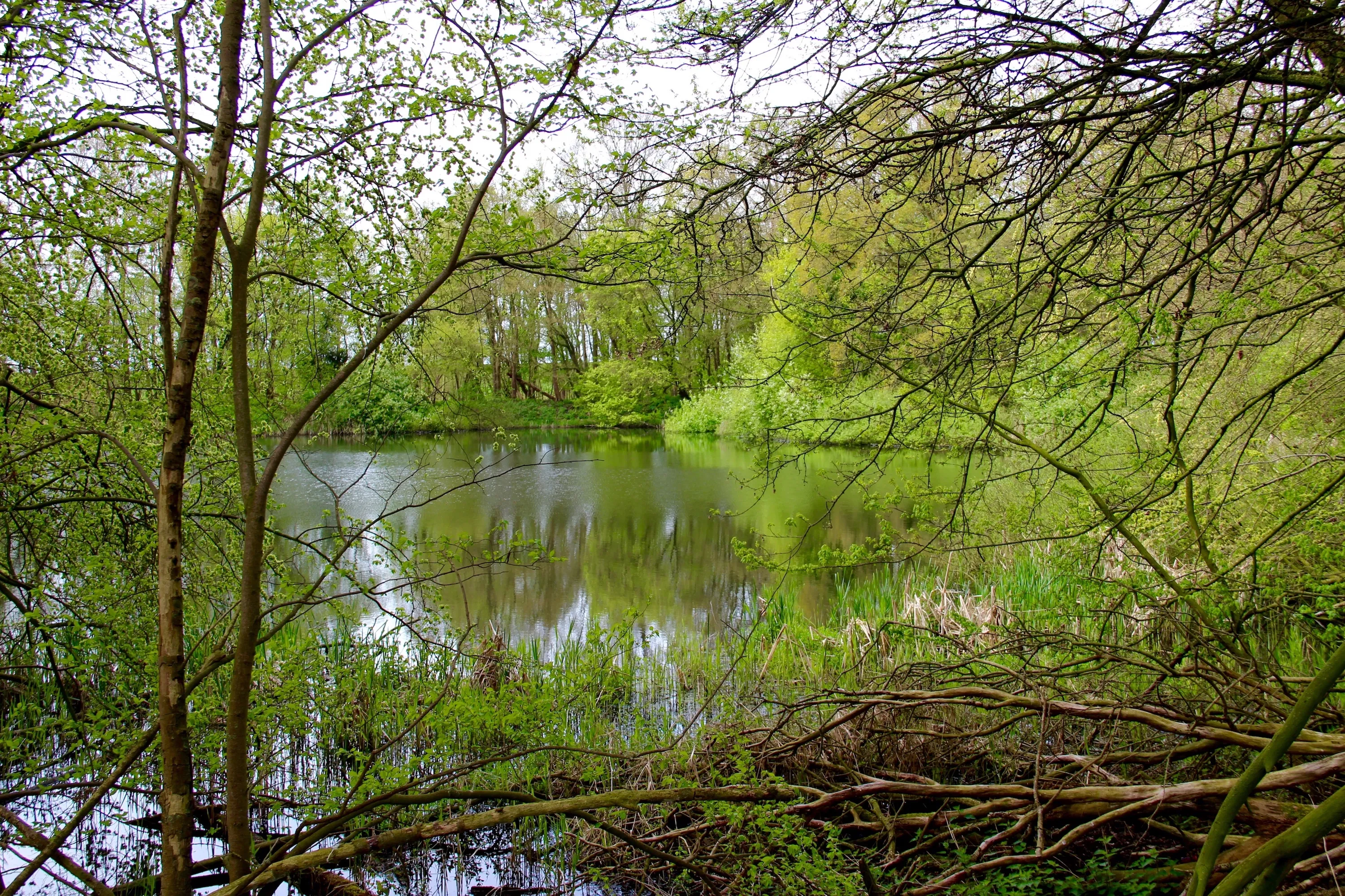 rotterdamse hoek het flevo landschap