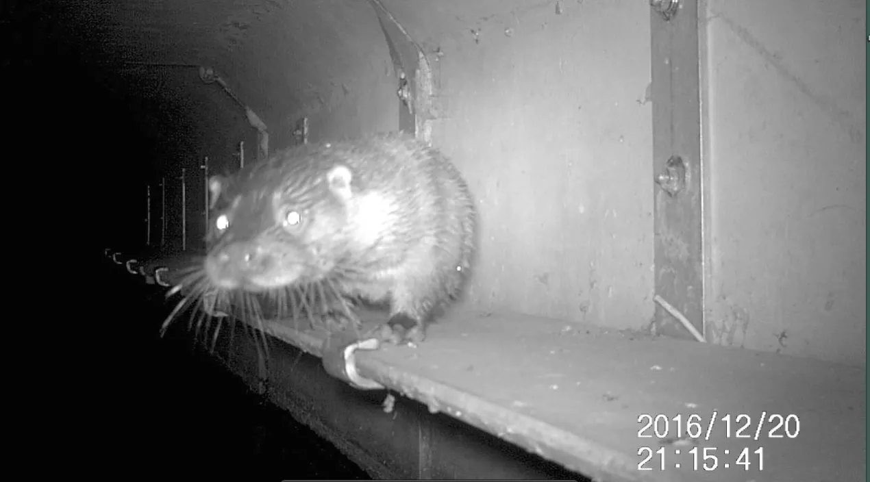 schermafbeelding 2017 02 15 om 21 22 35 orig