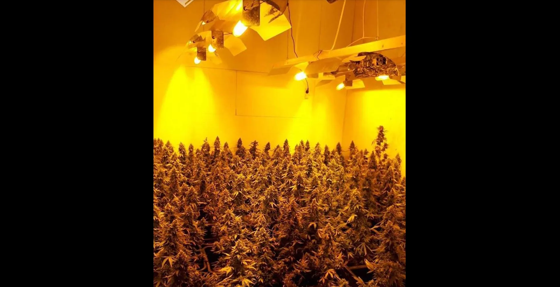 schermafbeelding 2018 02 17 om 175419