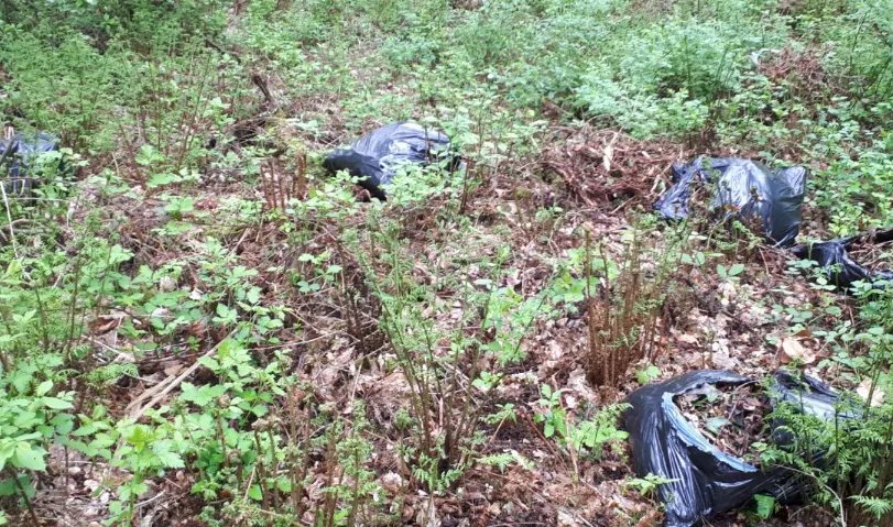 schermafbeelding 2018 04 28 om 164010