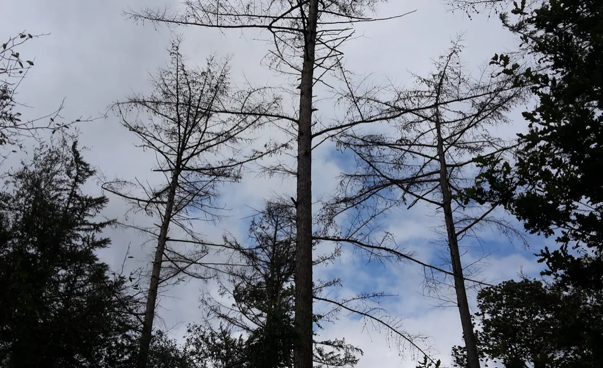 schermafbeelding 2019 08 16 om 134825