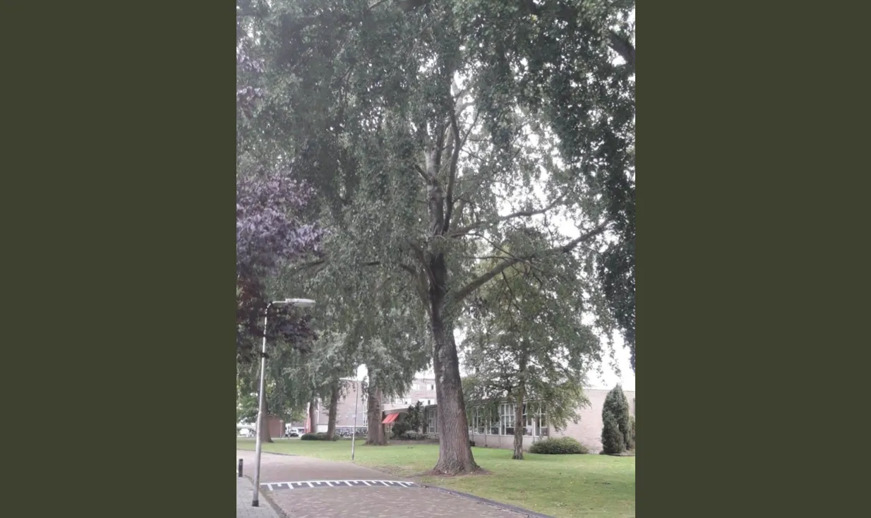 schermafbeelding 2019 09 27 om 134924